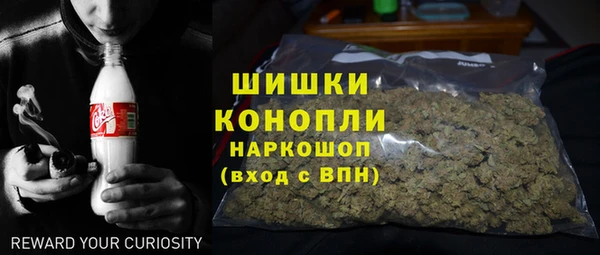 гидра Гусев