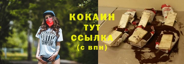 гидра Гусев