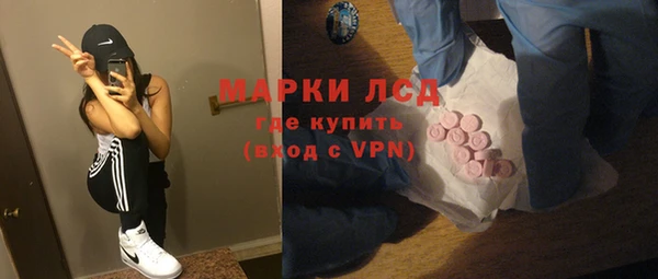 гидра Гусев