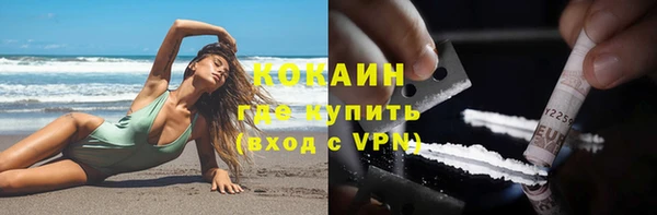 гидра Гусев