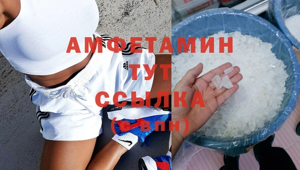 гидра Гусев