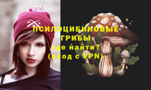 спайс Гусь-Хрустальный