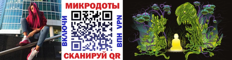 Купить где  Кизилюрт  Псилоцибиновые грибы мухоморы 